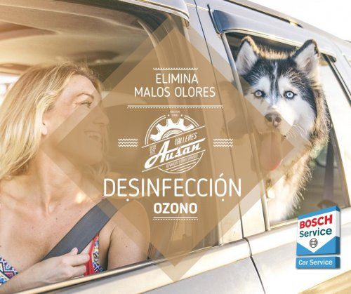 Disponemos de un generador profesional de ozono. Se introduce en el interior del vehículo y durante 15 minutos inicia un potente sistema de desodorización y desinfección; El ozono descompone los olores, bacterias, hongos, toxinas y materia orgánica.
 
 